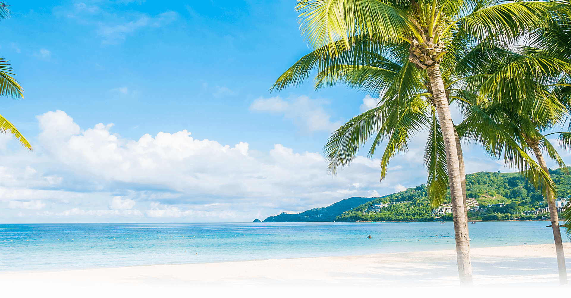 Pristine beach with palm tree, white sand, and cerulean seawater on a bright, sunny day. 